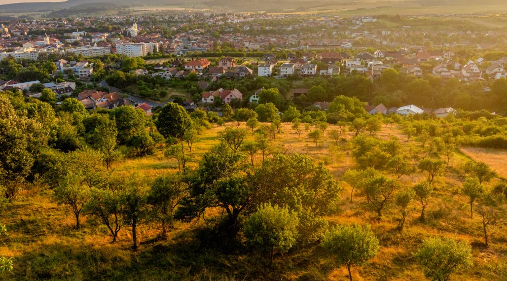 Na predaj stavebný pozemok s krásnym výhľadom - Krupina