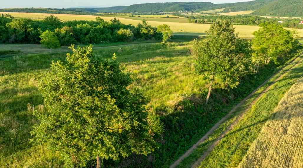 Rekreačný pozemok na predaj - Horné Terany