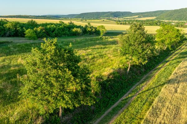 Rekreačný pozemok na predaj - Horné Terany